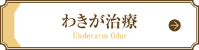 わきが治療 Underarm Odor