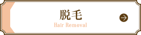 脱毛 Hair Removal